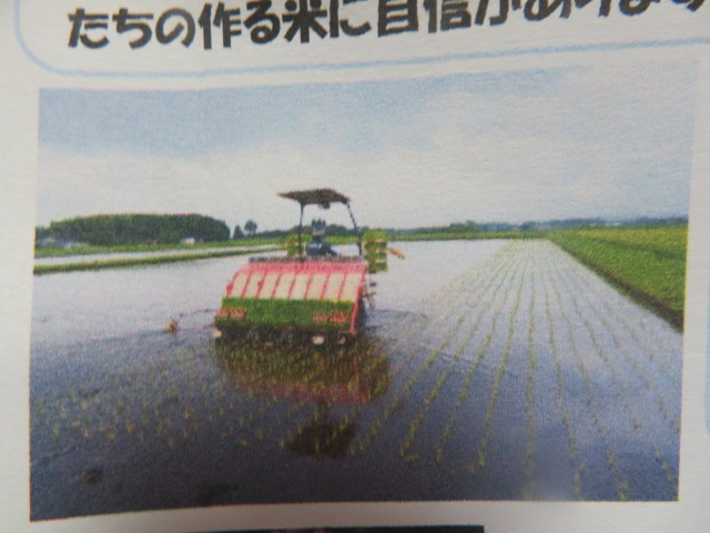 川﨑農産のなつほのかの米